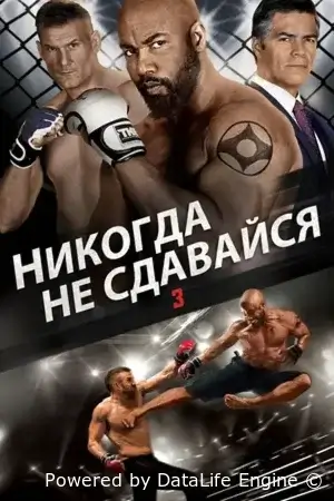 Никогда не сдавайся 3